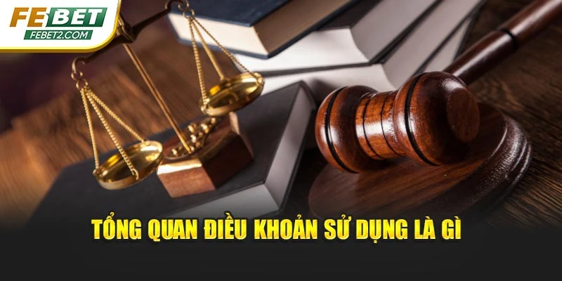 Tổng quan điều khoản sử dụng là gì